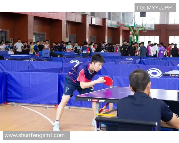 成都乒乓球队实力揭秘：乒乓球巨献背后的故事与成就