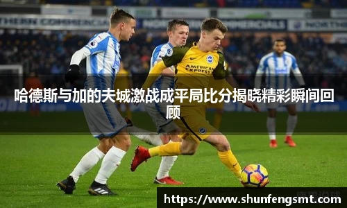 哈德斯与加的夫城激战成平局比分揭晓精彩瞬间回顾